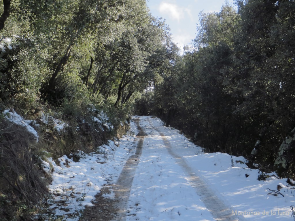 Camino de Masdéu